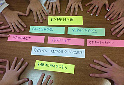Фотографии РЦО