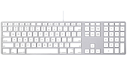 Клавиатура Apple (англ. Apple Keyboard) — компьютерная клавиатура, разработанная компанией Apple сначала для линейки компьютеров Apple II, затем для компьютеров Macintosh.

Клавиатура Apple несколько отличается от обычных компьютерных клавиатур, по причине того что изначально была приспособлена под операционные системы Apple — в частности, Mac OS.

Полноразмерные клавиатуры имеют более длинный ряд функциональных клавиш — до F15, F16 или даже до F19. В современных клавиатурах Apple функциональные клавиши по умолчанию используются для управления обозначенными на них мультимедийными функциями (яркостью дисплея, громкостью, воспроизведением музыки, извлечением компакт-диска и пр.), использование их как традиционных F-клавиш возможно при одновременном нажатии на клавишу fn
Современные проводные клавиатуры Apple Keyboard имеют два порта USB 2.0, обычно эти порты используются для подключения мыши.