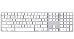 Клавиатура Apple (англ. Apple Keyboard) — компьютерная клавиатура, разработанная компанией Apple сначала для линейки компьютеров Apple II, затем для компьютеров Macintosh.

Клавиатура Apple несколько отличается от обычных компьютерных клавиатур, по причине того что изначально была приспособлена под операционные системы Apple — в частности, Mac OS.

Полноразмерные клавиатуры имеют более длинный ряд функциональных клавиш — до F15, F16 или даже до F19. В современных клавиатурах Apple функциональные клавиши по умолчанию используются для управления обозначенными на них мультимедийными функциями (яркостью дисплея, громкостью, воспроизведением музыки, извлечением компакт-диска и пр.), использование их как традиционных F-клавиш возможно при одновременном нажатии на клавишу fn
Современные проводные клавиатуры Apple Keyboard имеют два порта USB 2.0, обычно эти порты используются для подключения мыши.